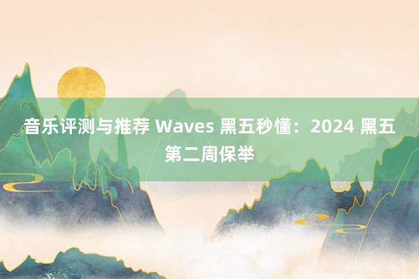 音乐评测与推荐 Waves 黑五秒懂：2024 黑五第二周保举