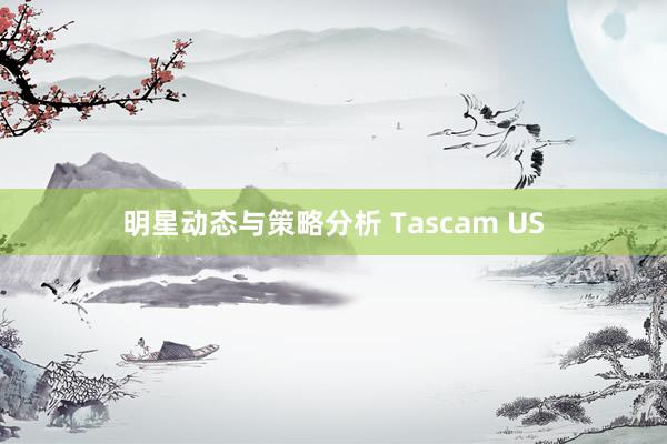 明星动态与策略分析 Tascam US