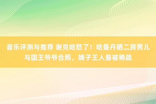 音乐评测与推荐 谢克哈怒了！哈曼丹晒二房男儿与国王爷爷合照，嫡子王人备被稀疏