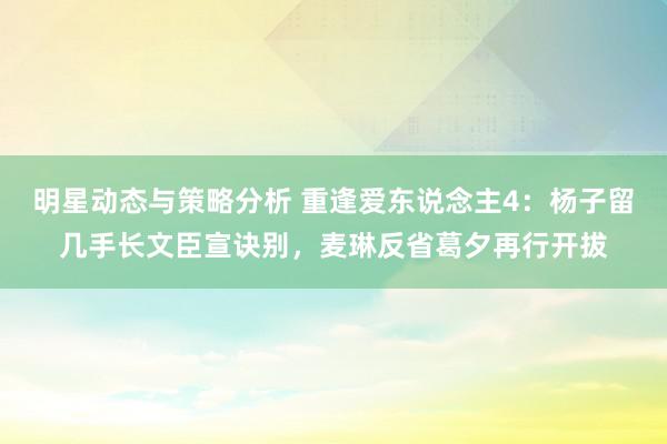 明星动态与策略分析 重逢爱东说念主4：杨子留几手长文臣宣诀别，麦琳反省葛夕再行开拔