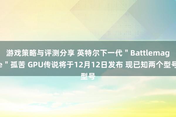 游戏策略与评测分享 英特尔下一代＂Battlemage＂孤苦 GPU传说将于12月12日发布 现已知两个型号